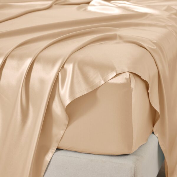 25 Momme Silk Sheet Set - Image 14