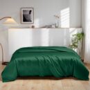19 Momme Silk Duvet Cover