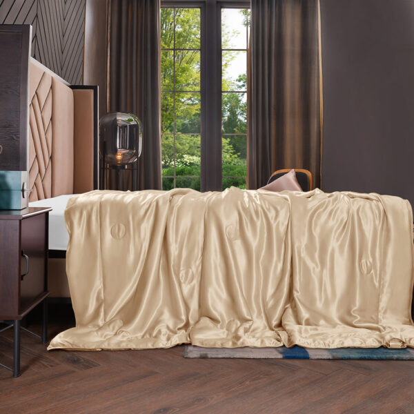 19 Momme Mulberry Silk Cooling Blanket - Image 37