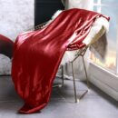 19 Momme Mulberry Silk Cooling Blanket